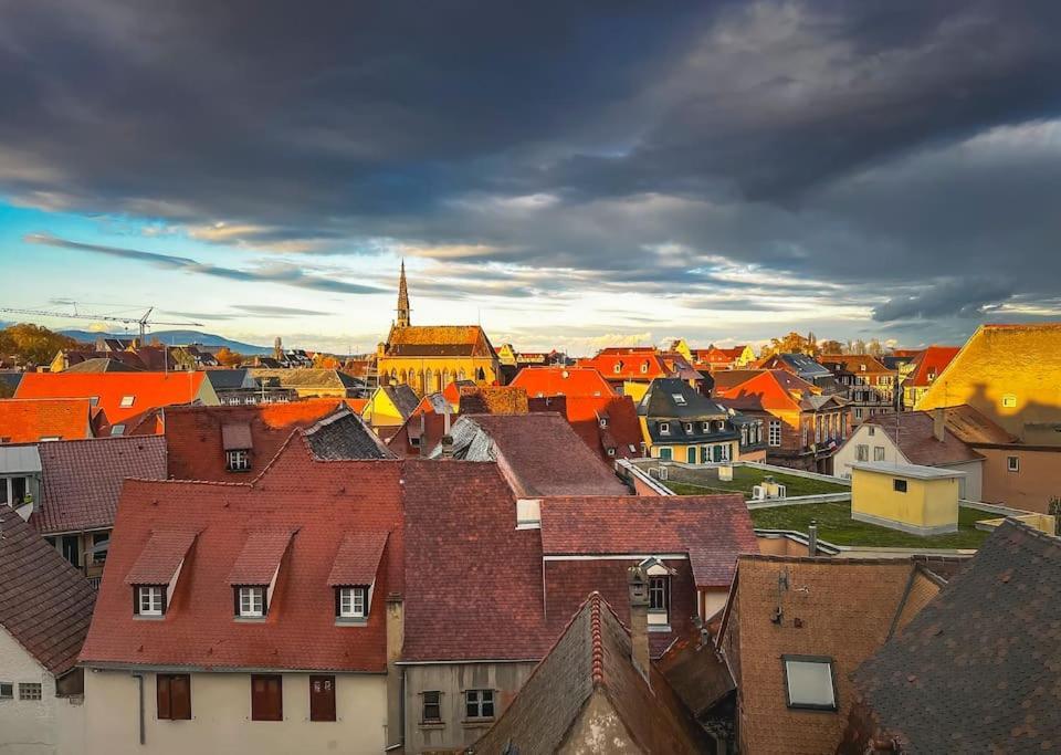 Aux Toits D'Alsace Apartment Sélestat Екстериор снимка