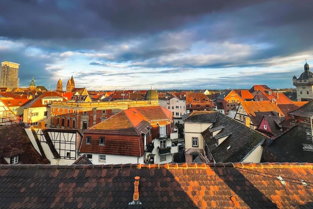 Aux Toits D'Alsace Apartment Sélestat Екстериор снимка