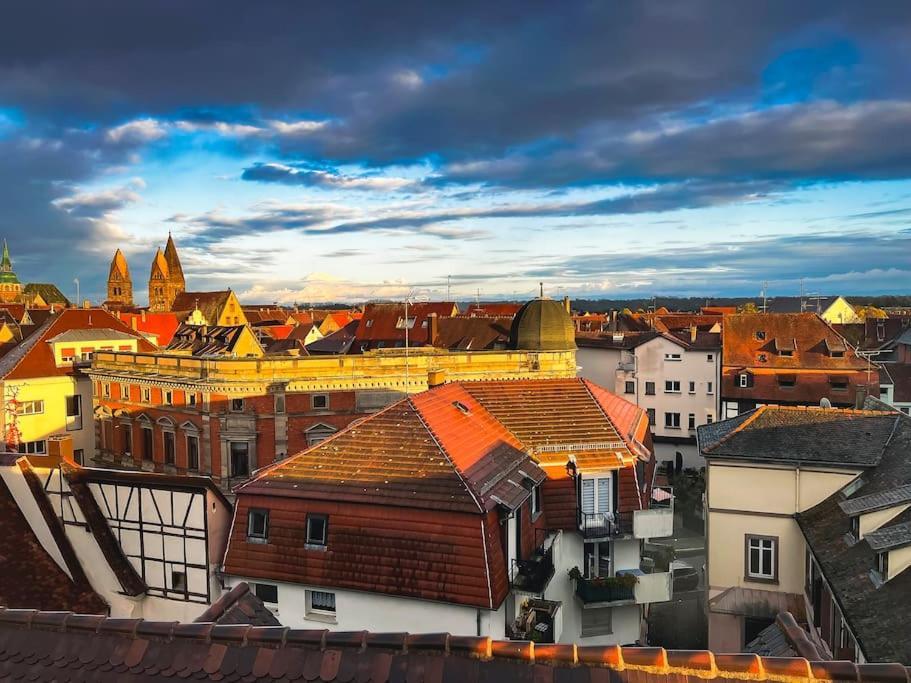 Aux Toits D'Alsace Apartment Sélestat Екстериор снимка